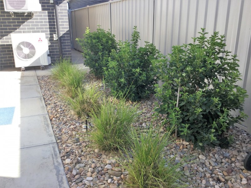 9 Antony Street, Berri SA 5343