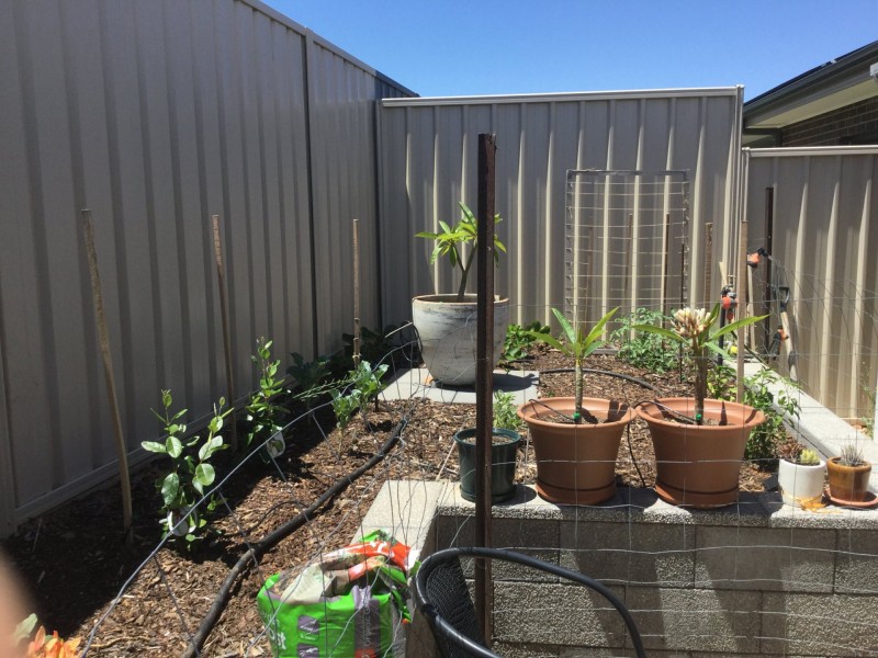 9 Antony Street, Berri SA 5343