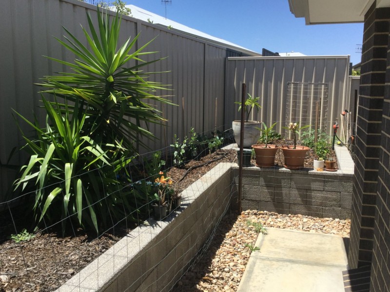 9 Antony Street, Berri SA 5343