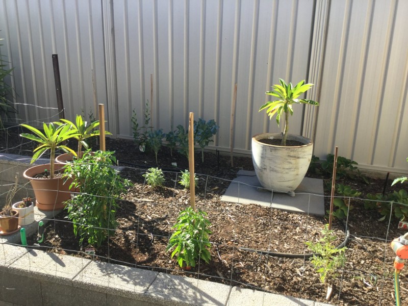 9 Antony Street, Berri SA 5343