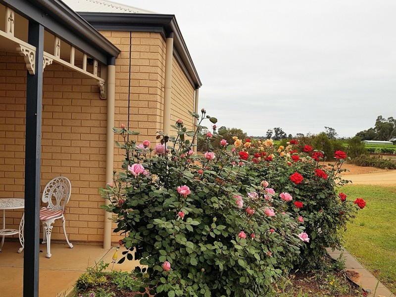 262 Nixon Road, Monash SA 5342