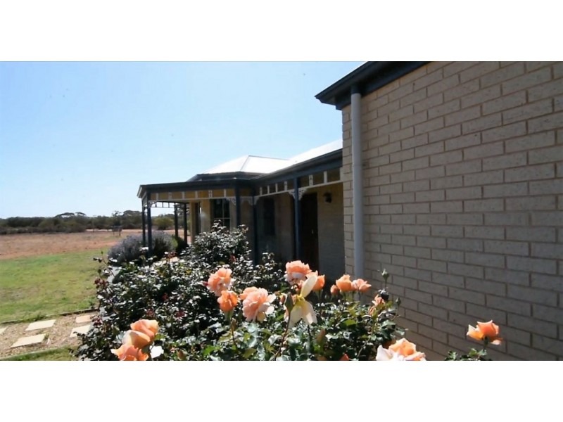 262 Nixon Road, Monash SA 5342