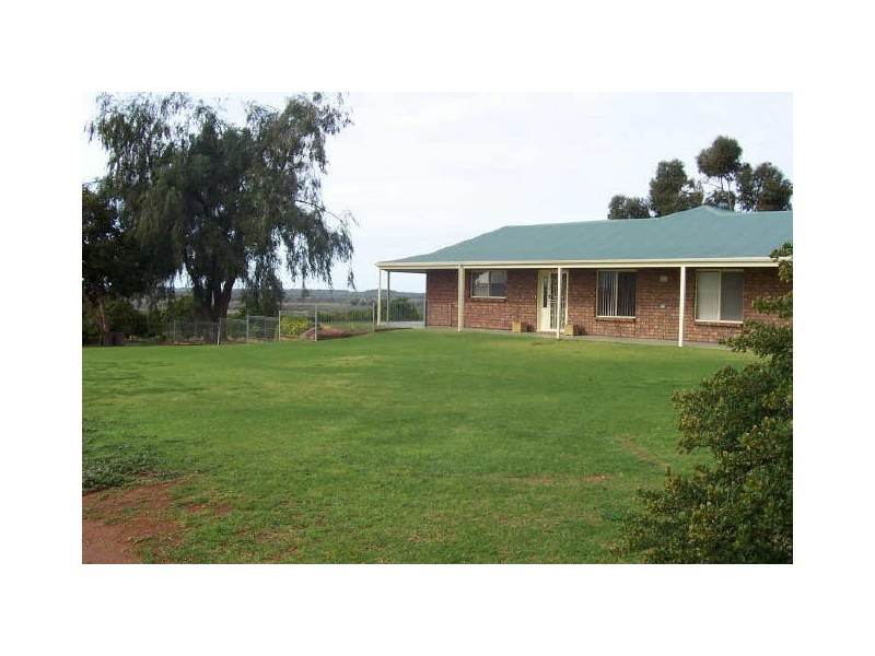 SEC 913 WINKIE ROAD, Winkie SA 5343