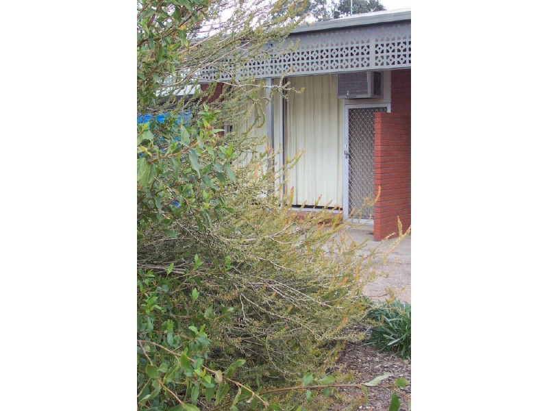 4/97 Fifteenth street, Renmark SA 5341