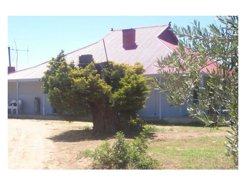 351 Riverview Drive, Berri SA 5343
