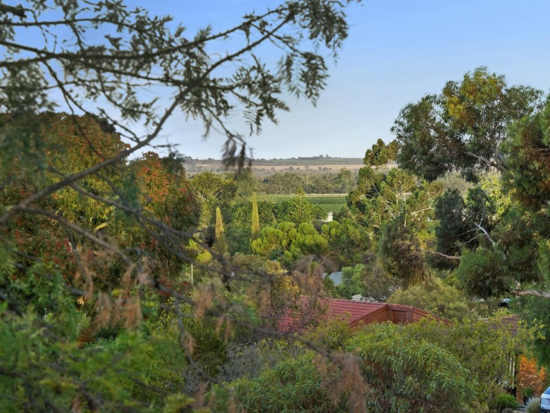 13 O’Malley Street, Berri SA 5343