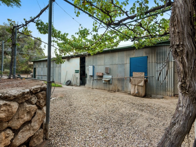 13 O’Malley Street, Berri SA 5343