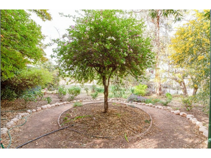 13 O’Malley Street, Berri SA 5343