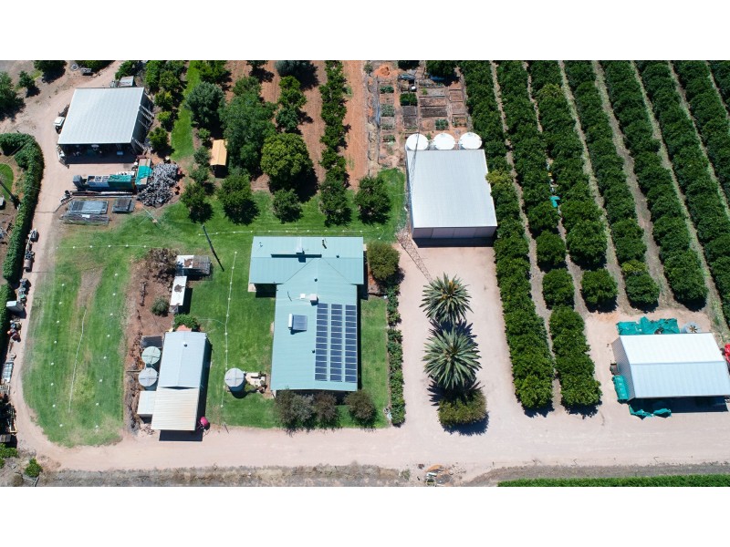 126A Twenty-Third Street, Renmark SA 5341