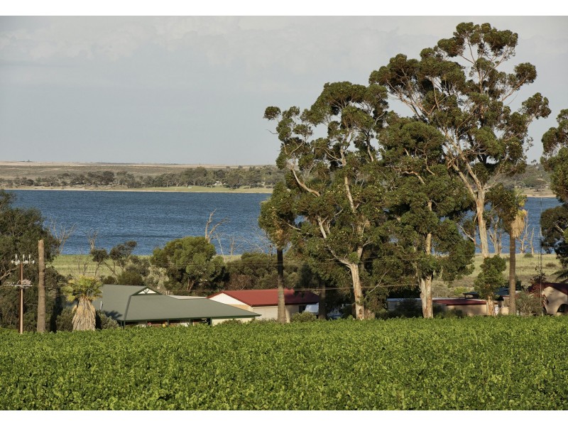 17238 Sturt Highway, Barmera SA 5345