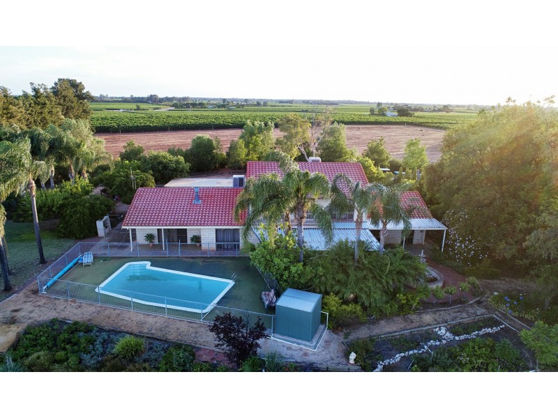 17238 Sturt Highway, Barmera SA 5345