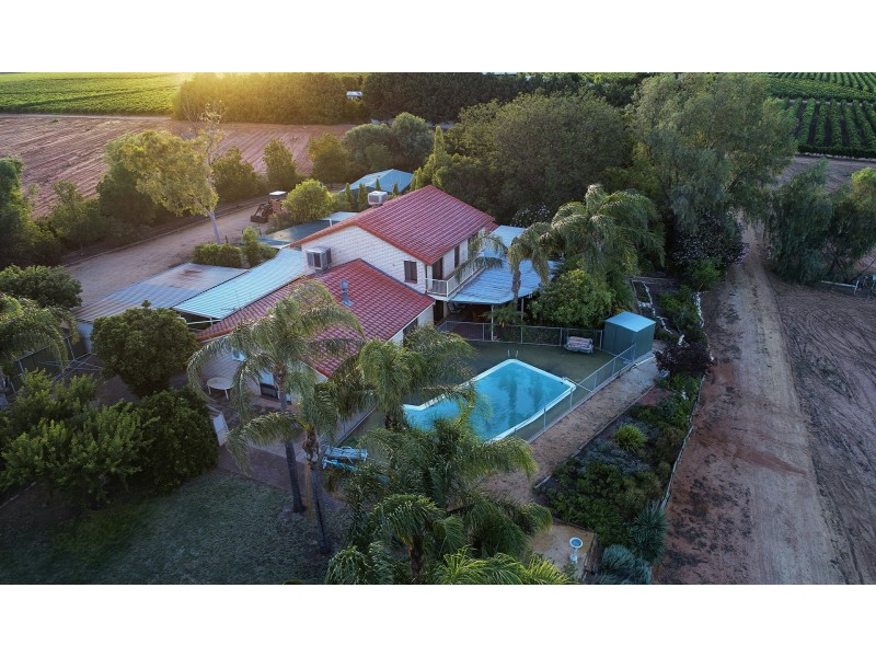 17238 Sturt Highway, Barmera SA 5345