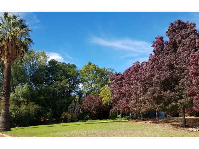 17238 Sturt Highway, Barmera SA 5345