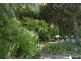 17238 Sturt Highway, Barmera SA 5345