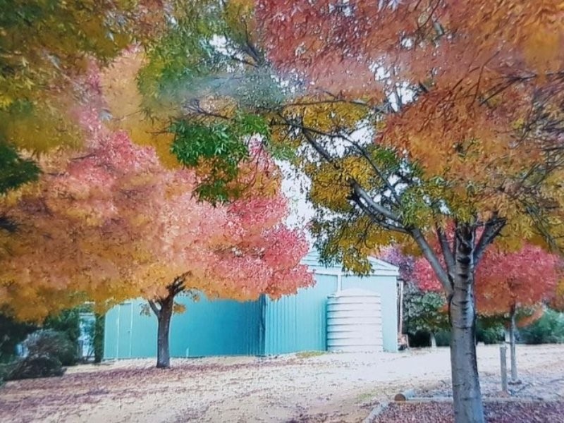 17238 Sturt Highway, Barmera SA 5345