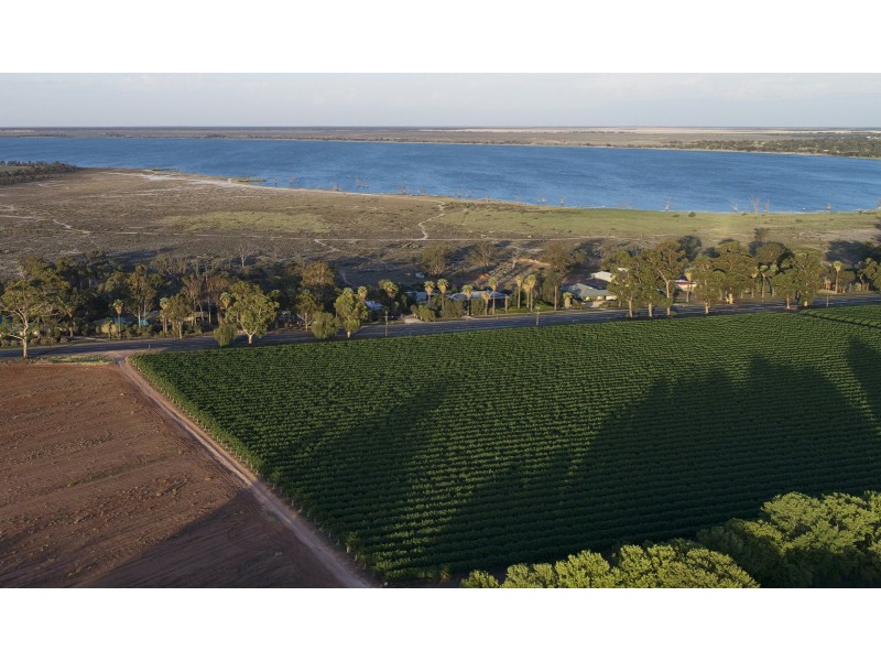 17238 Sturt Highway, Barmera SA 5345