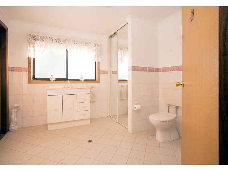 17238 Sturt Highway, Barmera SA 5345