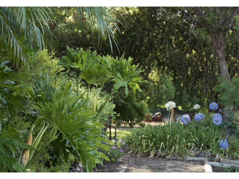 17238 Sturt Highway, Barmera SA 5345