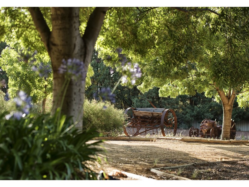 17238 Sturt Highway, Barmera SA 5345