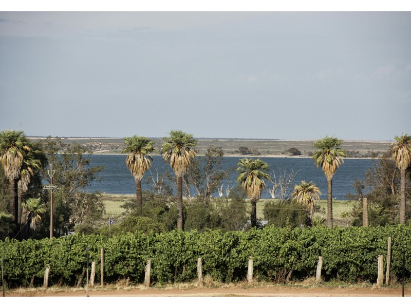 17238 Sturt Highway, Barmera SA 5345