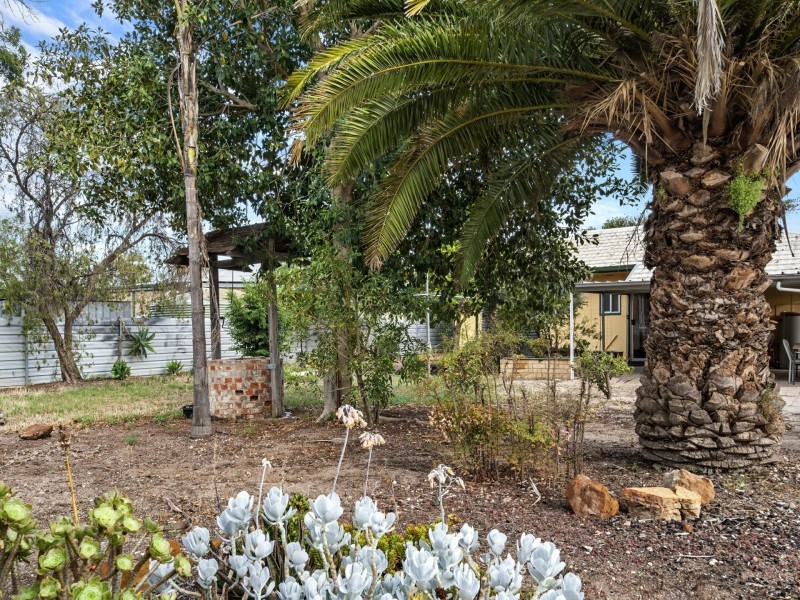 12 Hopkins Street, Renmark SA 5341