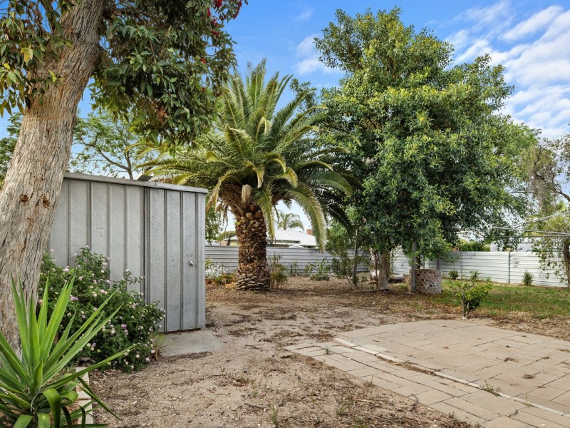 12 Hopkins Street, Renmark SA 5341