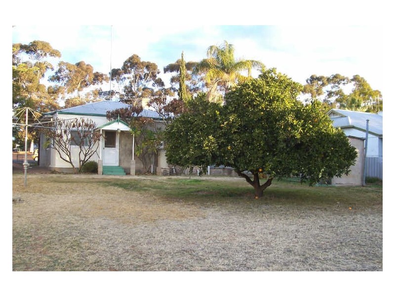 3 Pascoe Terrace, Barmera SA 5345