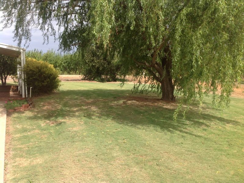 Post 355 Kulklyne Street, Renmark SA 5341