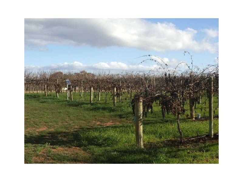 Post 355 Kulklyne Street, Renmark SA 5341