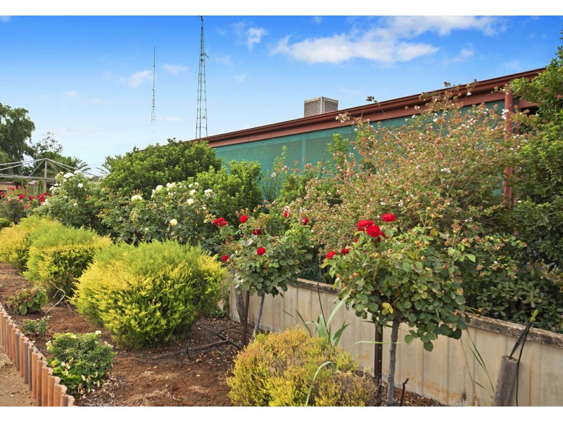 12 Loveday Road, Cobdogla SA 5346