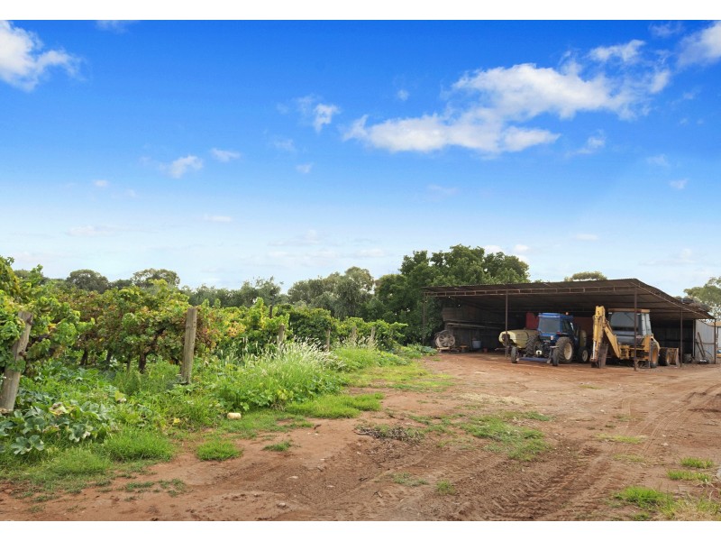 12 Loveday Road, Cobdogla SA 5346