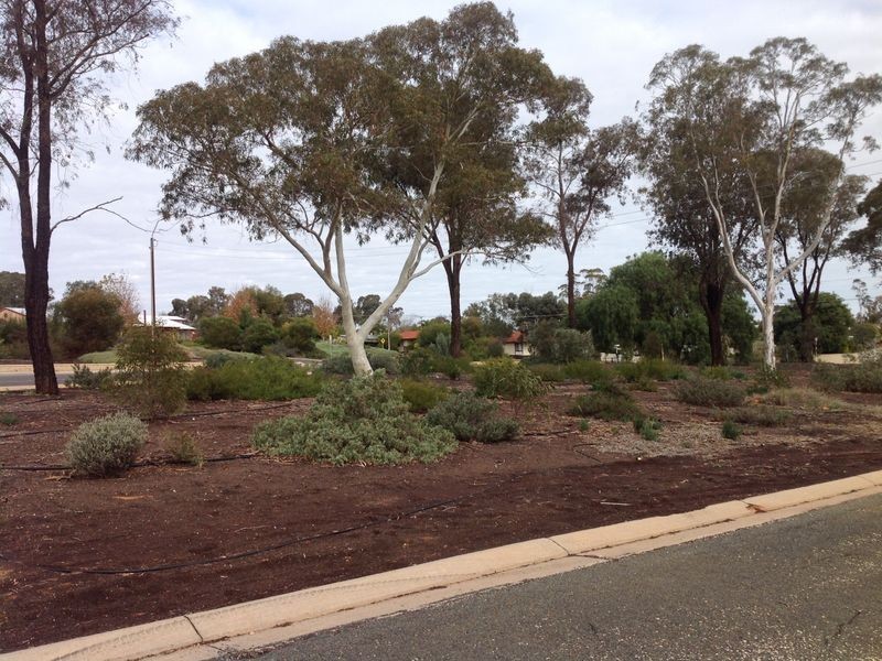 2 Kingdom Place, Loxton SA 5333