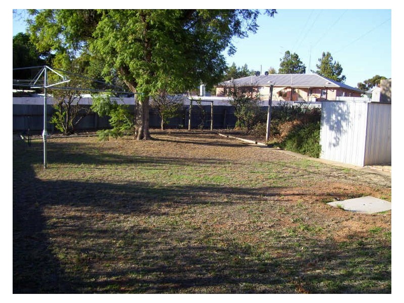 15 Tonkin Avenue, Barmera SA 5345