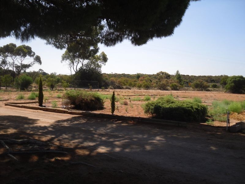82 Gillespie Rd, Barmera SA 5345
