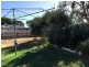 13 Tonkin Avenue, Barmera SA 5345
