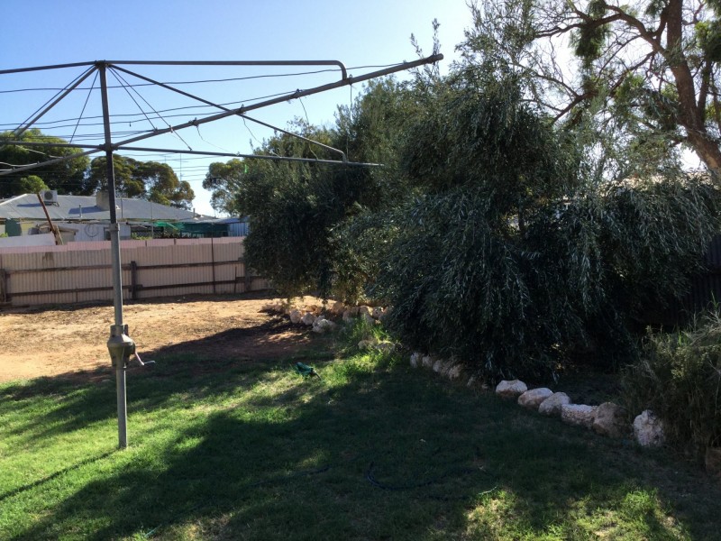 13 Tonkin Avenue, Barmera SA 5345