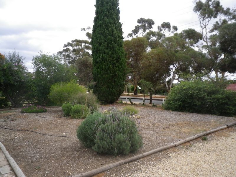 17 Langdon Terrace, Barmera SA 5345