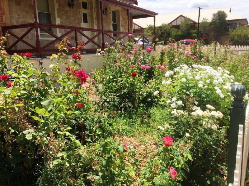 3 Coneybeer Street, Berri SA 5343