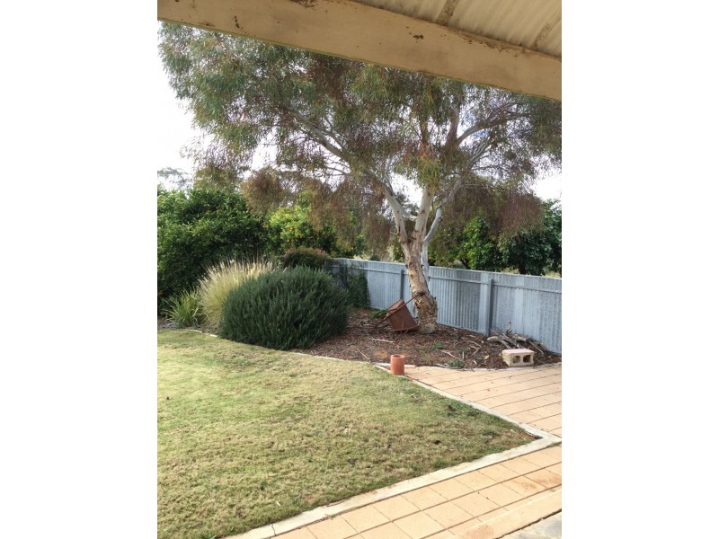 14 Drogemuller Road, Moorook SA 5332