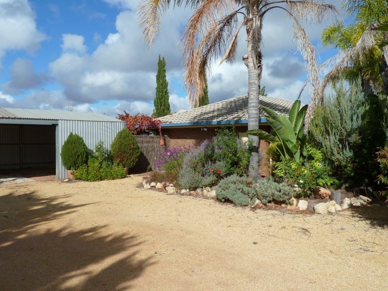 1349 Mills Road, Berri SA 5343