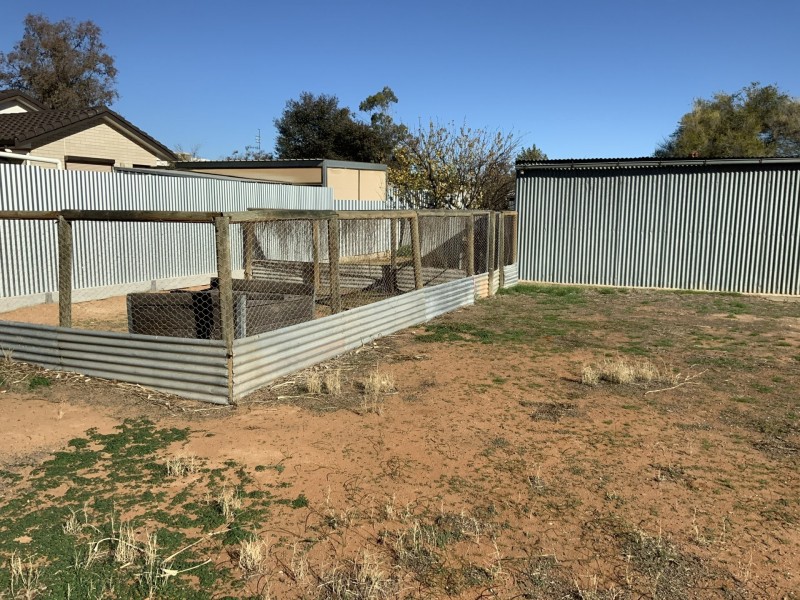 6 Baynes Street, Barmera SA 5345