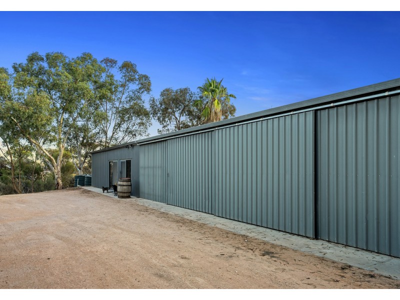 215 Trenaman Road, Monash SA 5342
