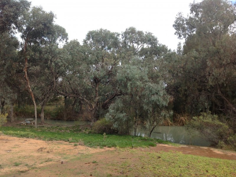 7 Meander Avenue, Renmark SA 5341