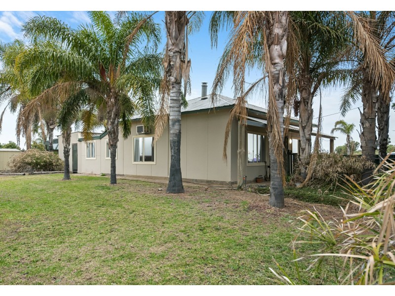 297 Tarcoola Street, Renmark SA 5341