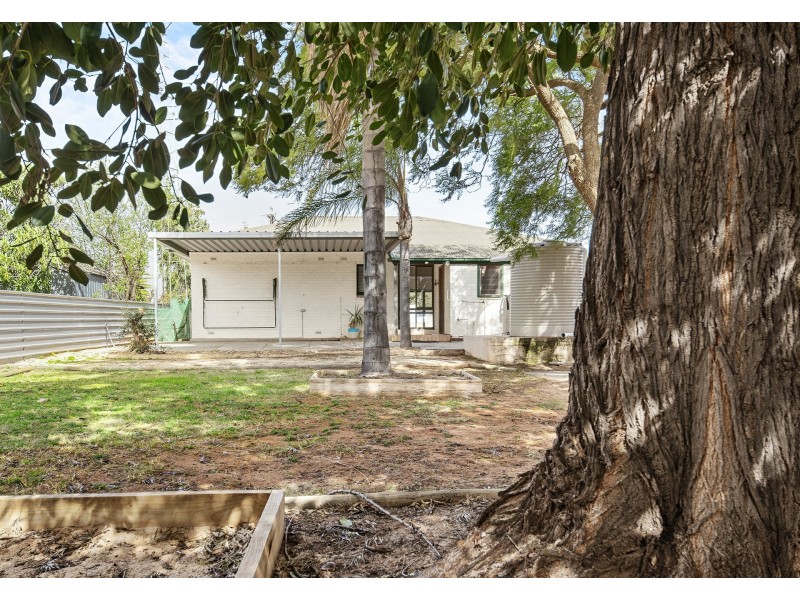 13 Cornwall Street, Berri SA 5343