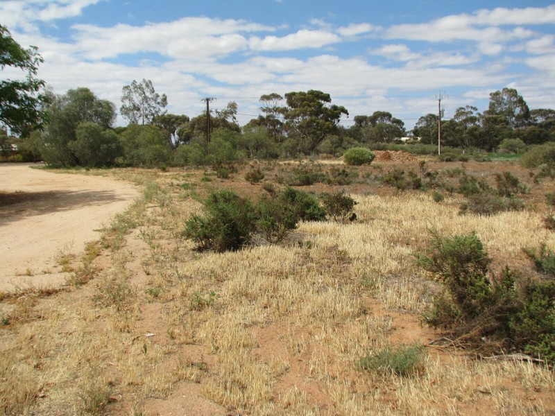 693 Thiele Road, Loveday SA 5345