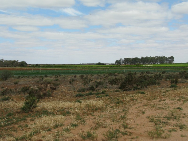 693 Thiele Road, Loveday SA 5345