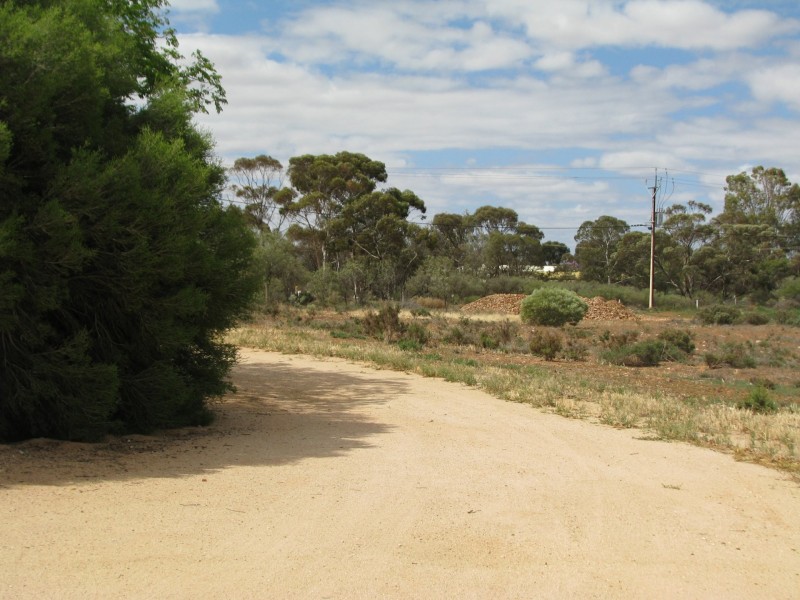 693 Thiele Road, Loveday SA 5345