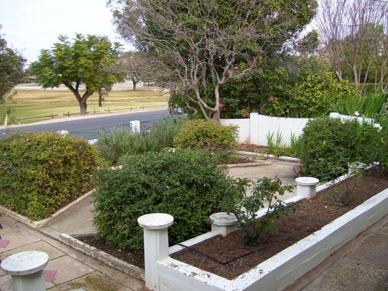 3 Wilkinson Street, Berri SA 5343