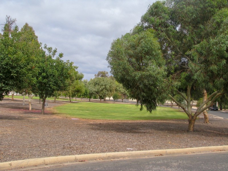 7 Minocks Street, Berri SA 5343